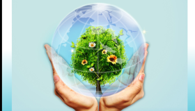 Happy World Environment Day!